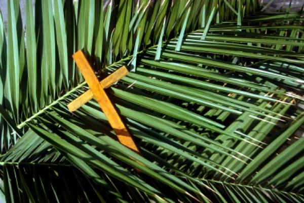 Wooden cross on palms, holy week