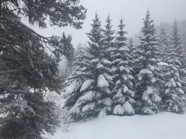 Radio Message, January 2017, Week 4: Winter Is a Feeling